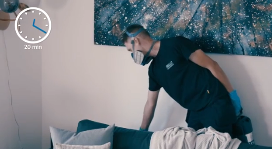 como aniquilar chinches de cama